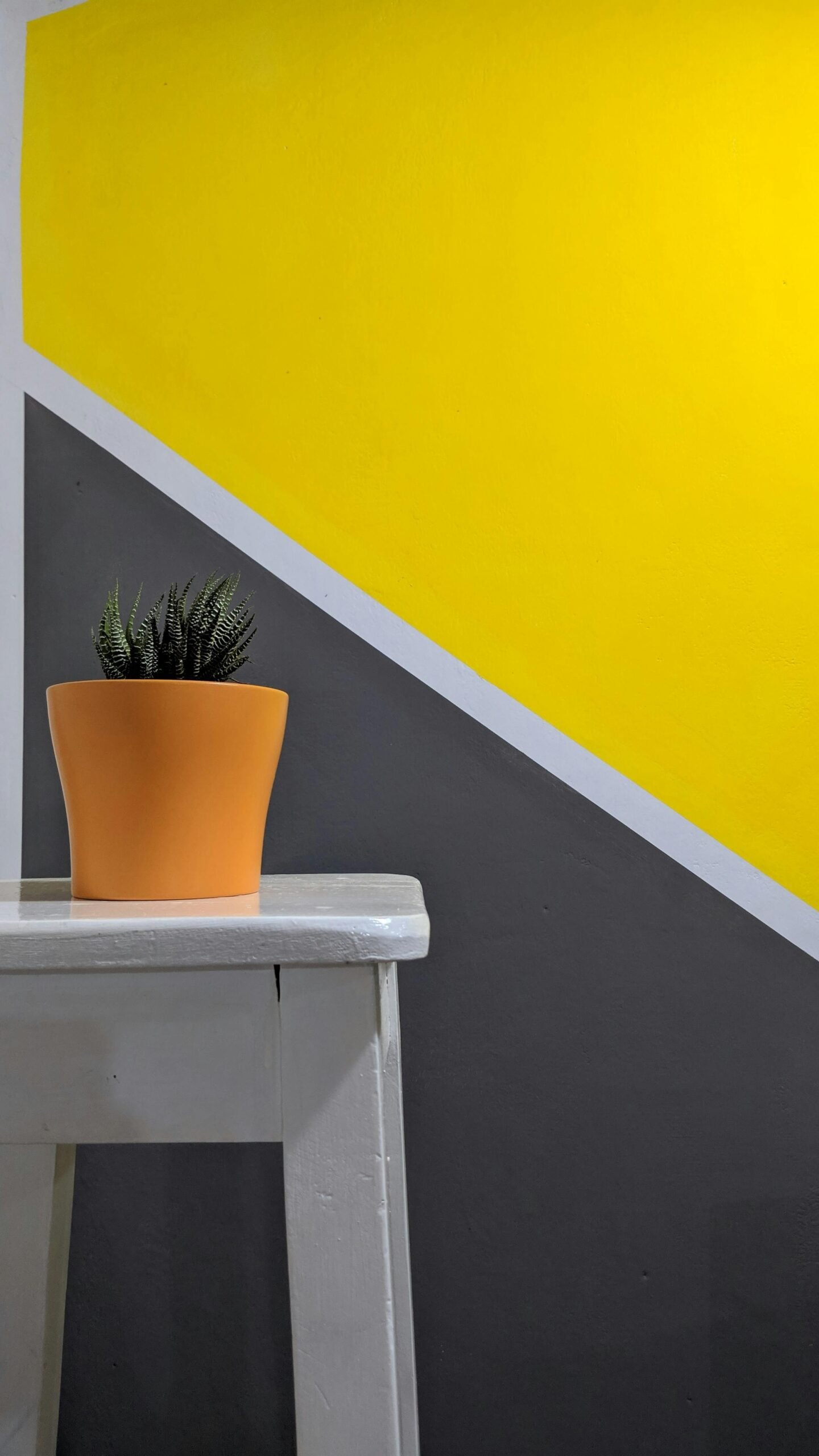 Orange potted plant on a white stool against a geometric yellow and gray wall indoors.